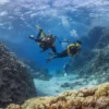 Diving Tour from Belek