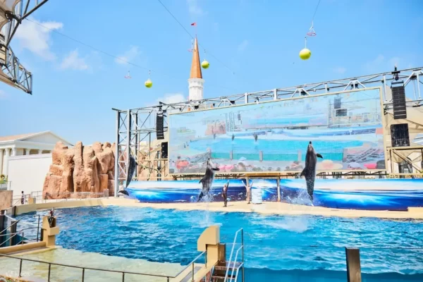 Antalya Land of Legends Turu 14