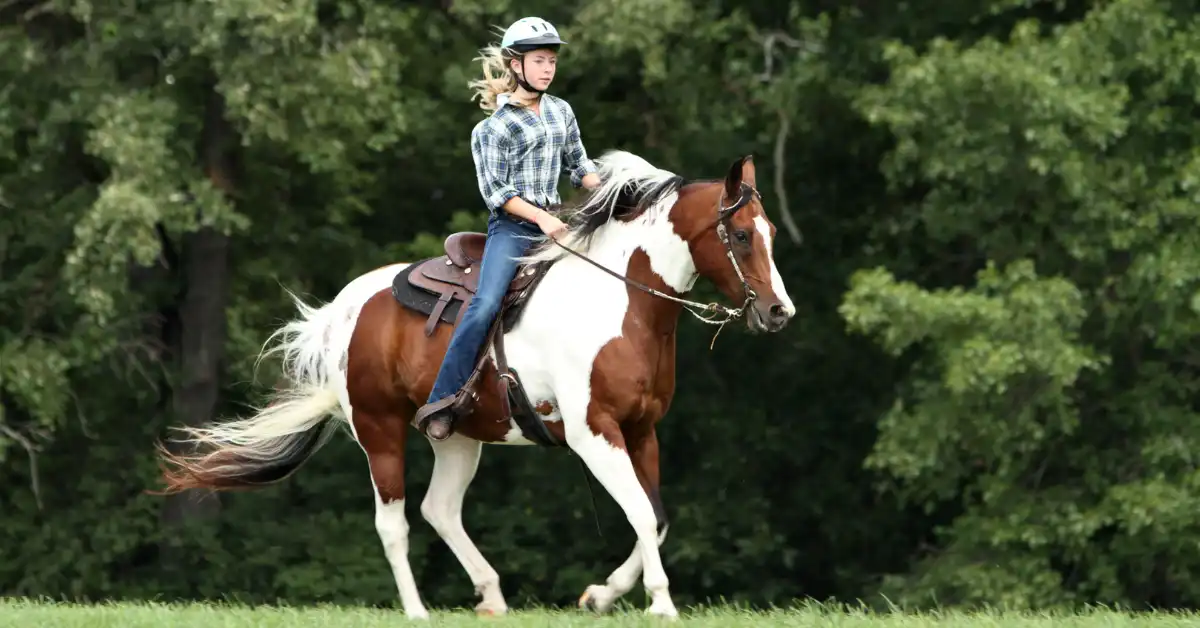 Alanya Horse Riding Tour - Sencap Tour