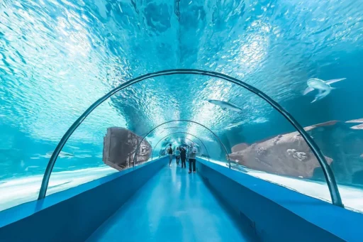 Belek'ten Antalya Akvaryum Turu