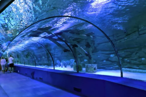Alternative view of Antalya Aquarium Tour from Belek