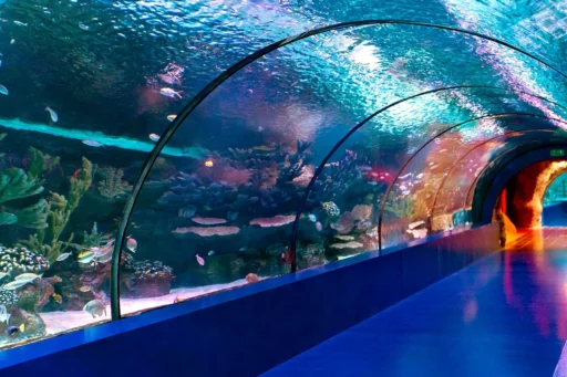 antalya akvaryum turu 4