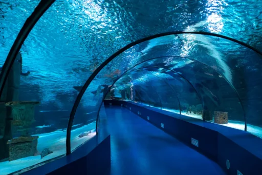 antalya akvaryum turu 8