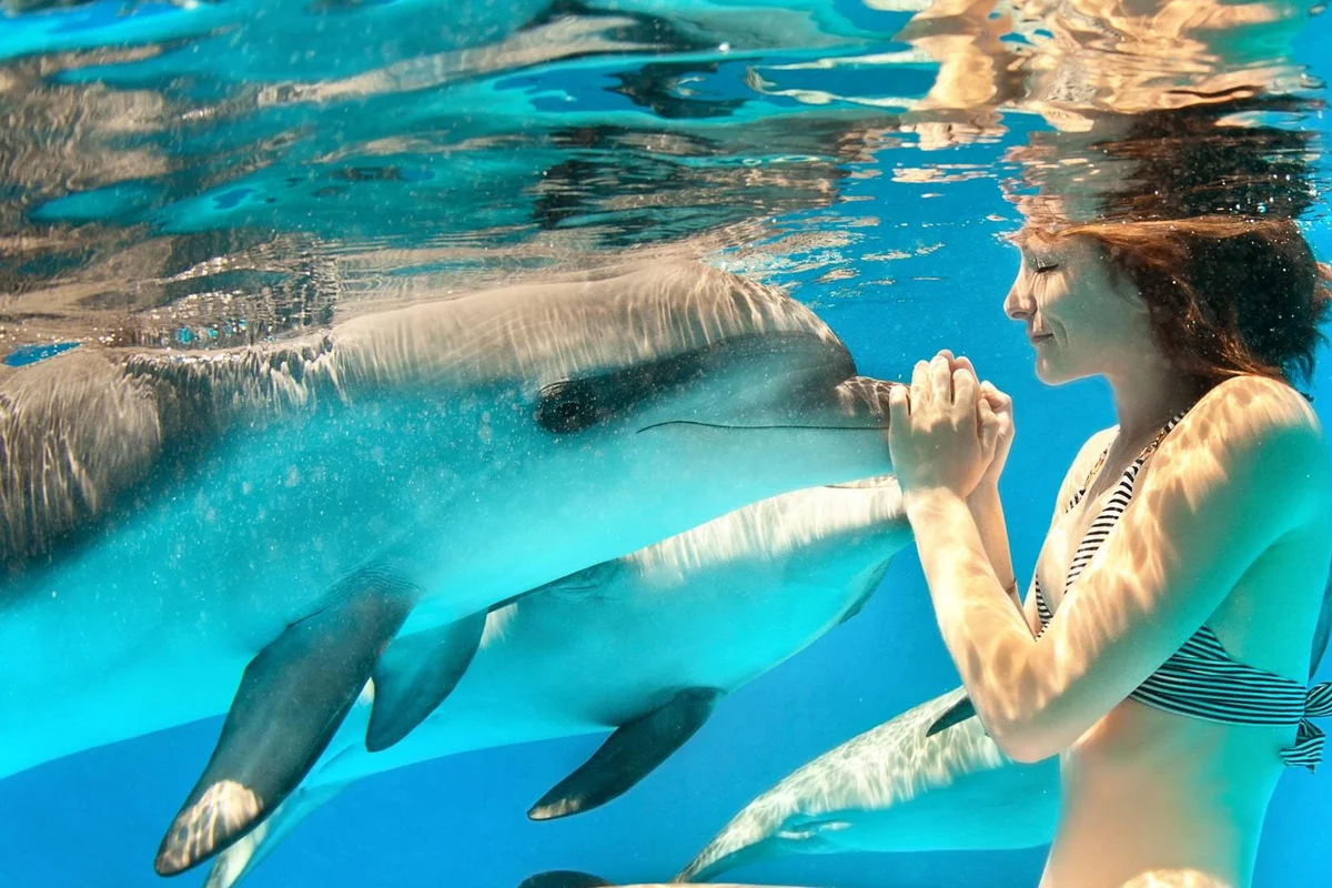 Dolphin Show Tour from Belek - Image 3